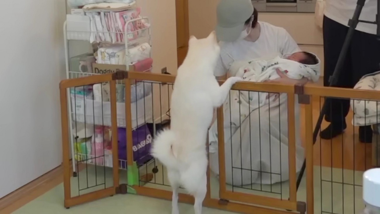 坊やちゃんに興味津々！！