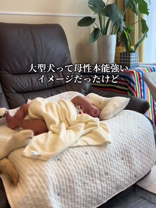 赤ちゃんが大泣きすると…