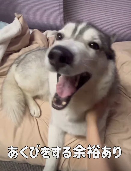 穏やかな表情