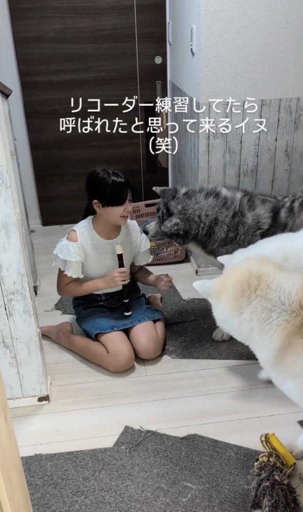 だいちくんも参戦！