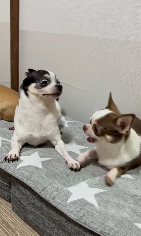 うめちゃんの遊びの誘い方5