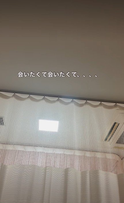 寂しさは募るばかり