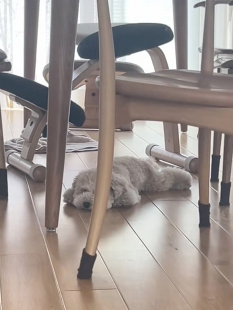 今にも寝ちゃいそう