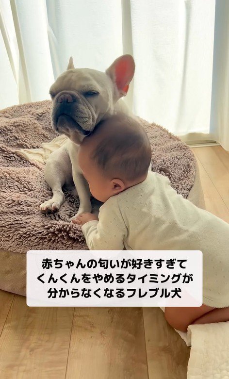 グイグイ頭を押しつけています