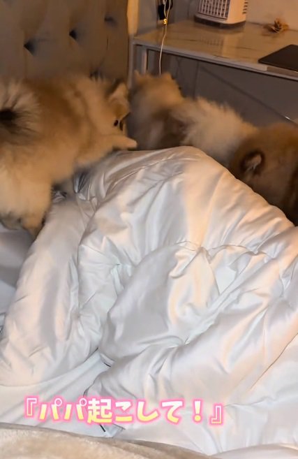 起こしてとお願いするママ