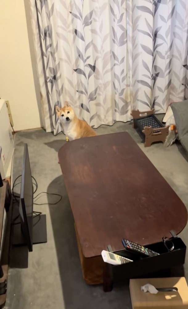 ししまるくんが何か伝えたそう…