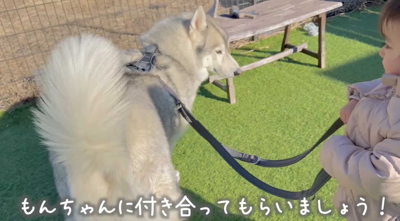 ドッグランの中で犬のリードを持つ女の子