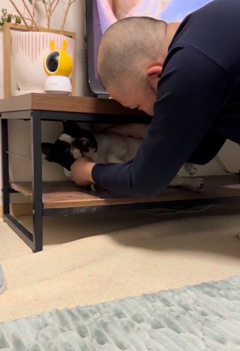 テレビ台の中の小型犬を捕まえる飼い主