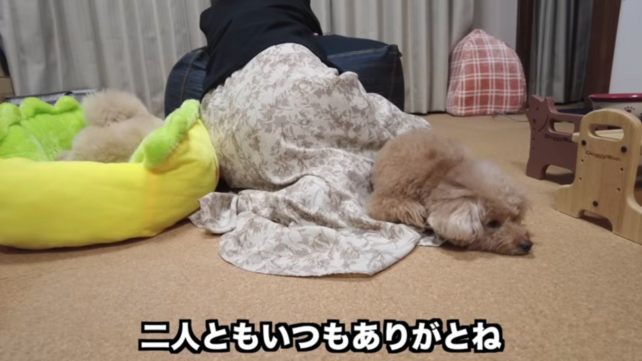 ママに寄り添う2匹