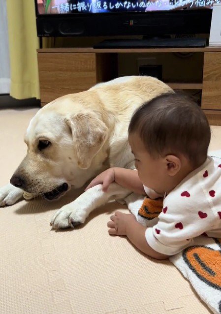 なんだかんだ言っても…