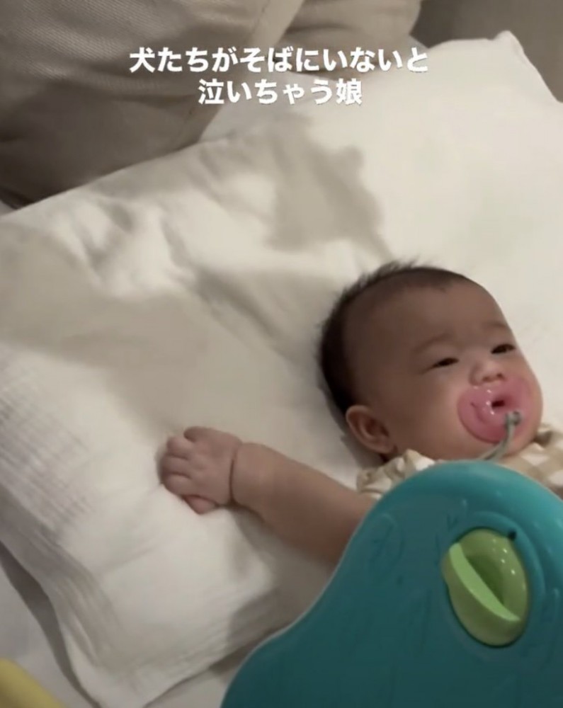 2匹と一緒に過ごしてきました