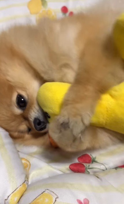 「もう離さないよ」
