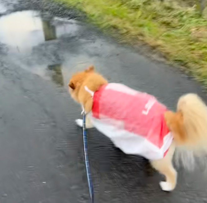 ポップなカラーが可愛い