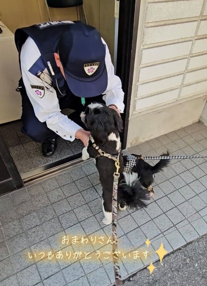 見つめ合う警察官と犬