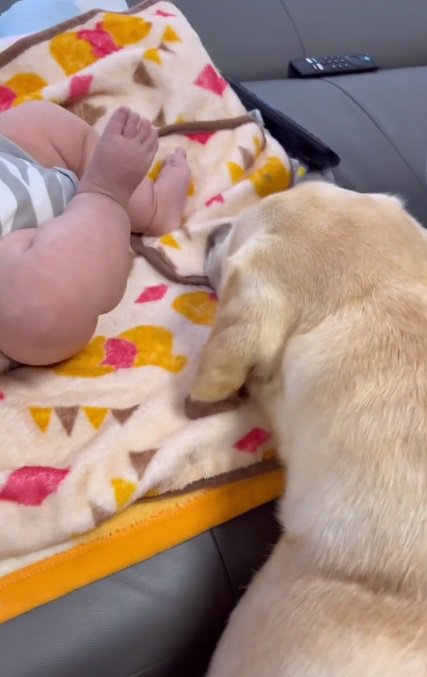 匂いを嗅ぐベルちゃん