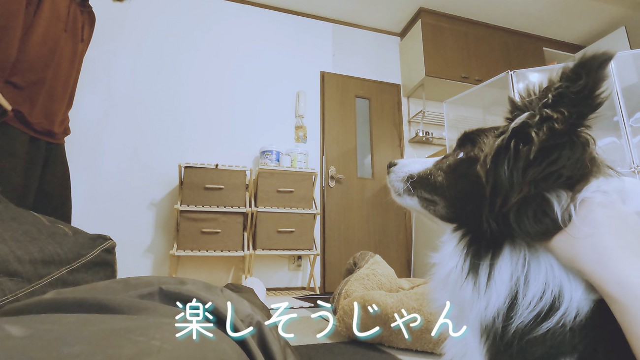 パパさんが登場すると…