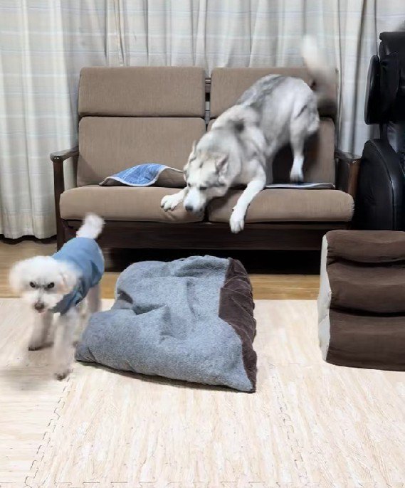 ボスを煽っていたら…