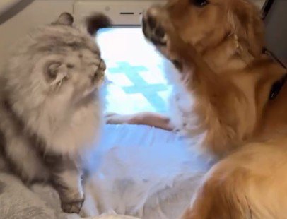 ちょっぴり痛いけど…