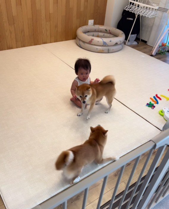 ヒートアップしてきても…