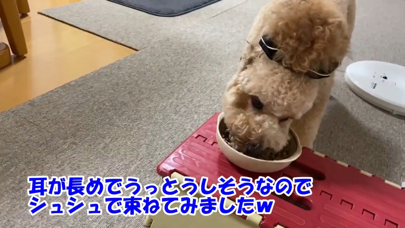 シュシュで束ねてみたら…