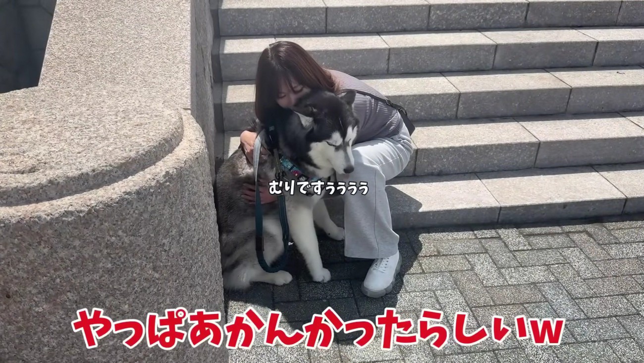 1年ぶりの階段チャレンジ