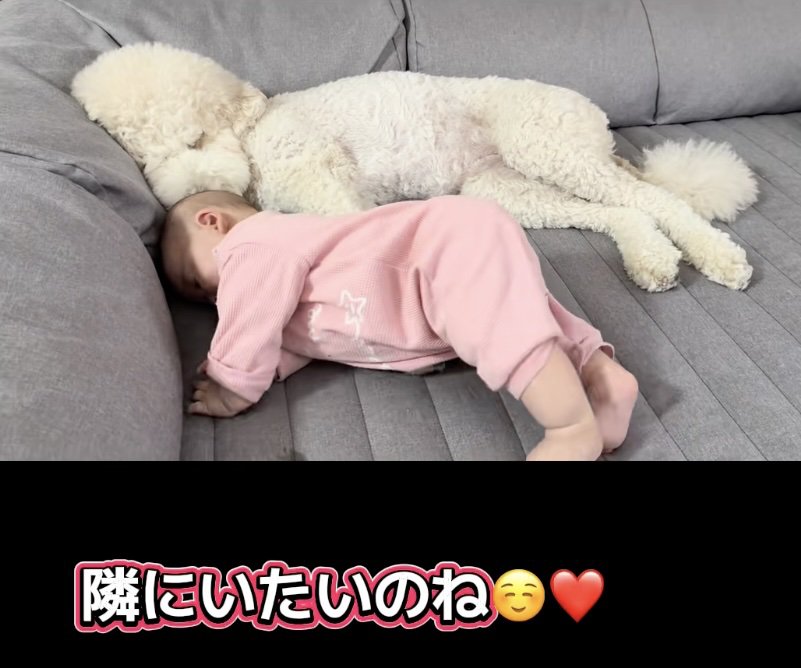 ウナちゃんにピトッ