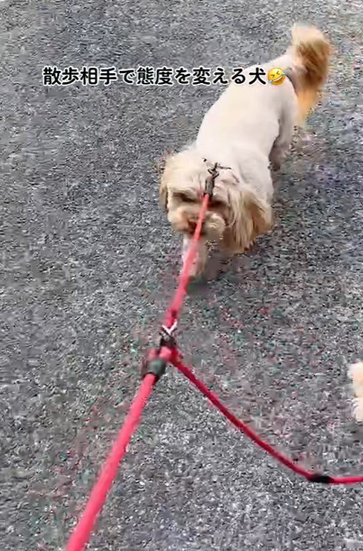 息子との散歩で…