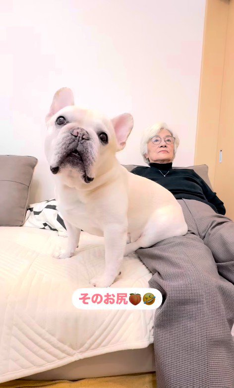 エルモくんとおばあちゃんの日常