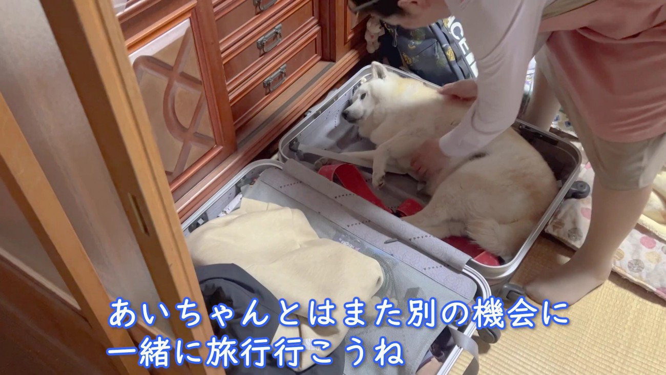 「一緒には行けないよ」