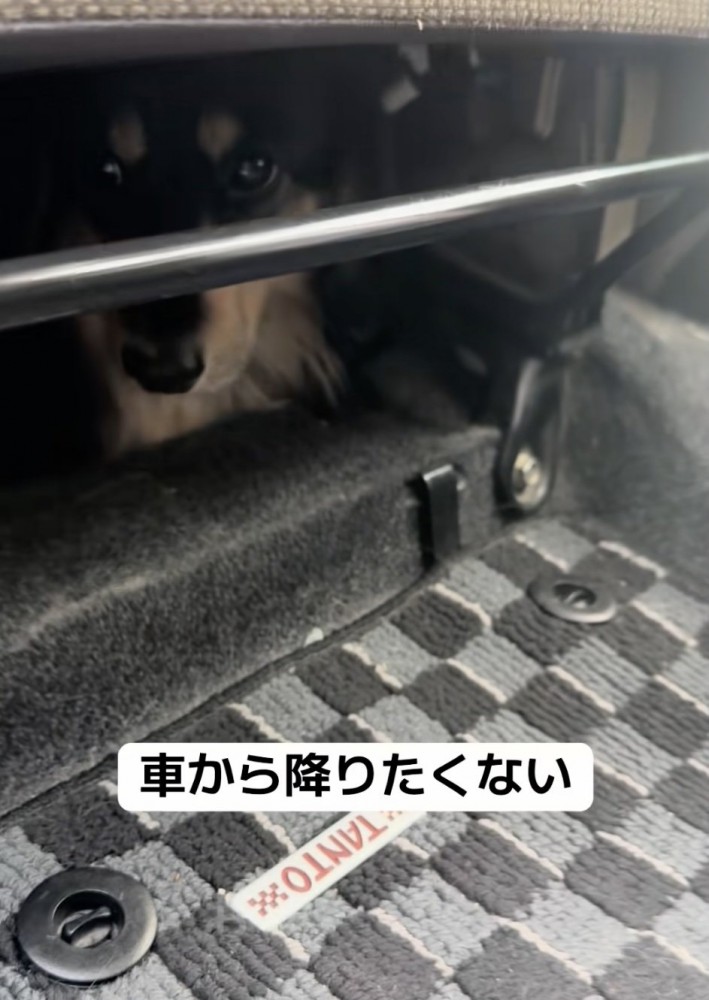強い意志を感じます