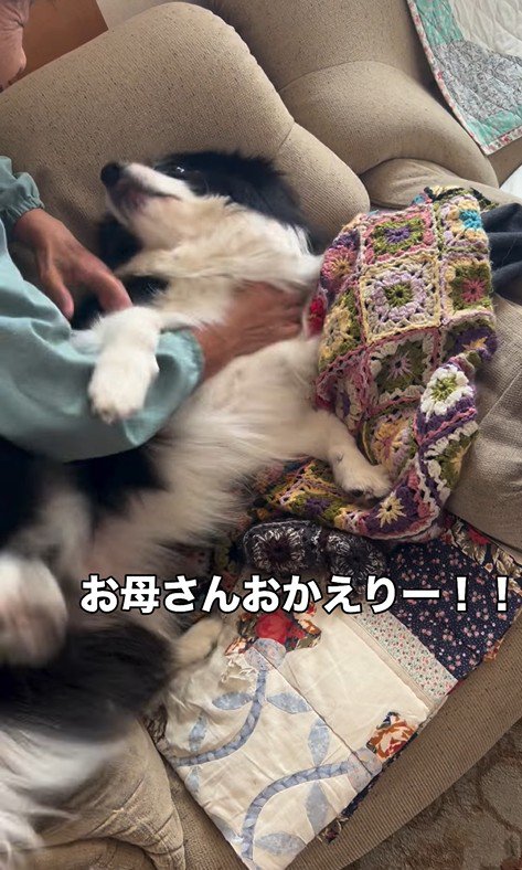 マリちゃんの熱烈歓迎5