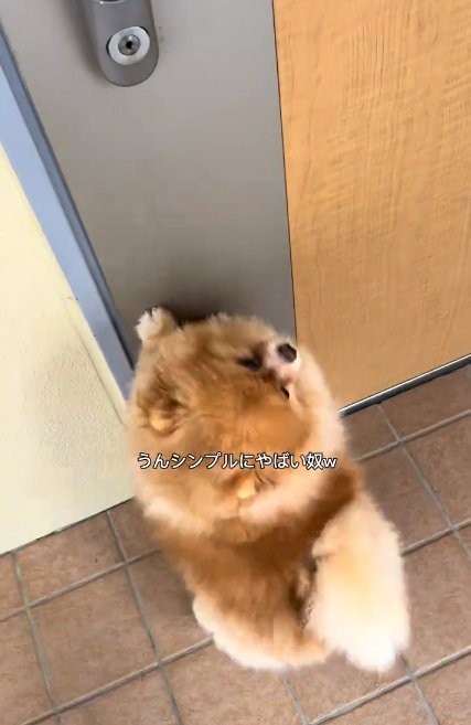 扉に手をかけるちょっちゃん
