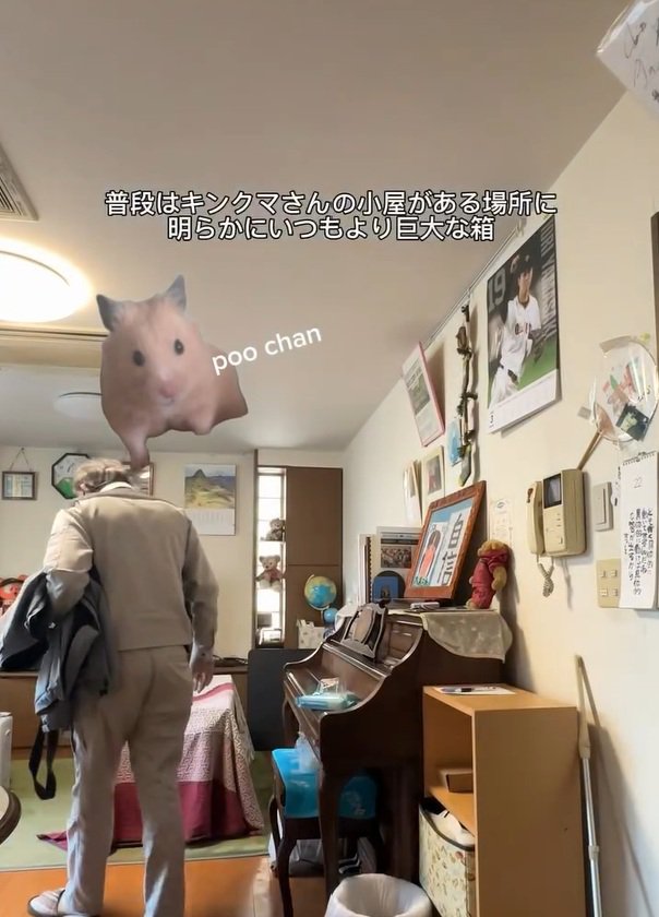 謎の箱を不審がるお父さん