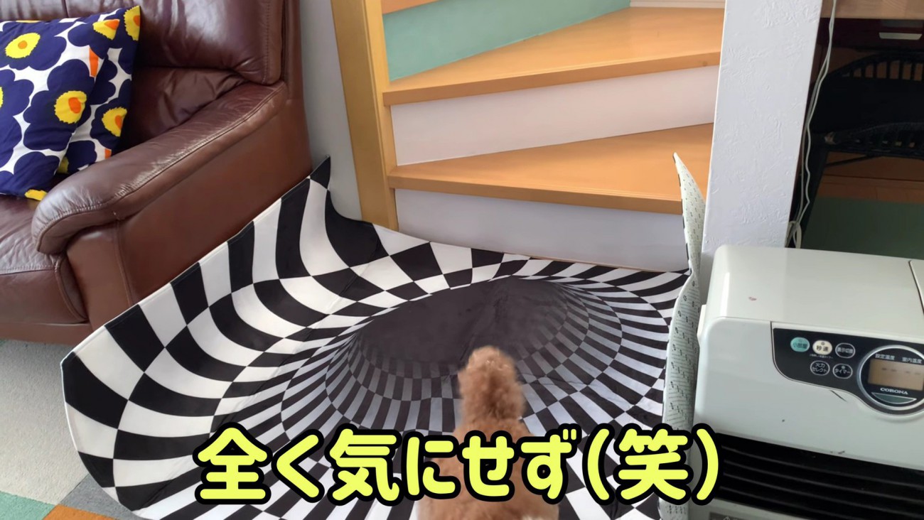 全然気にしてない！