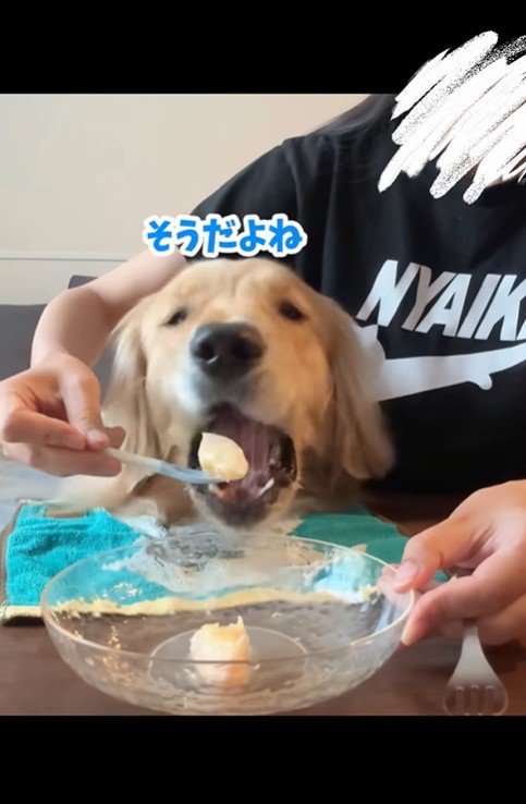 桃を食べるコロッケくん9