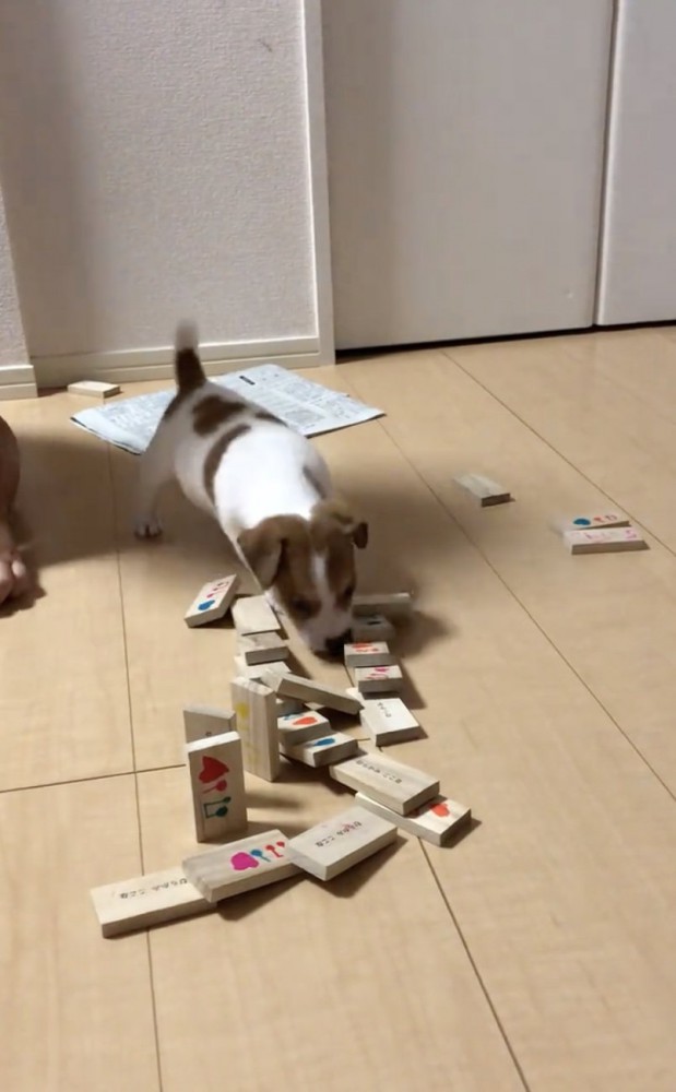 思わず笑顔になっちゃいます