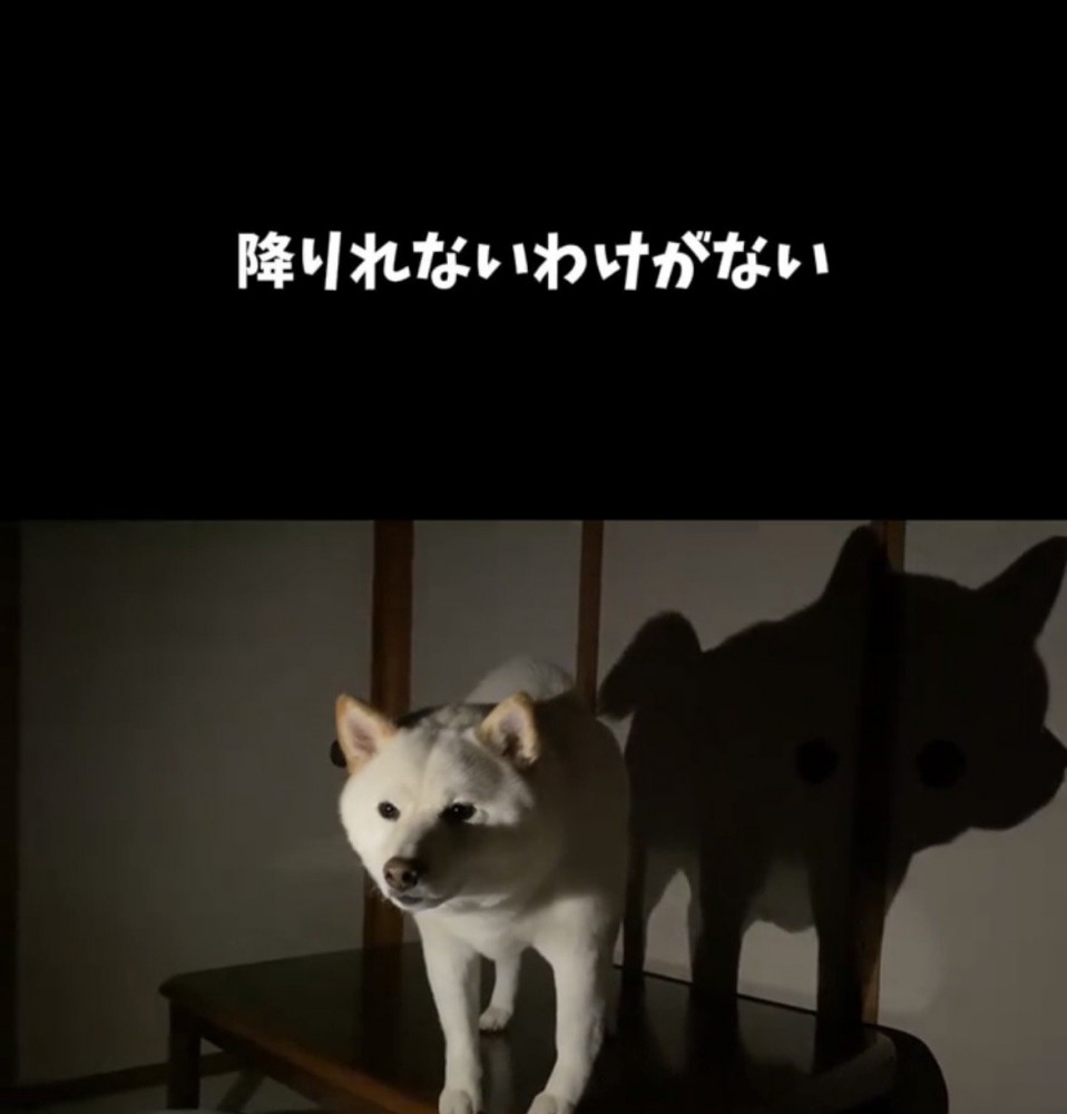 暗闇の中で佇む犬と大きな影