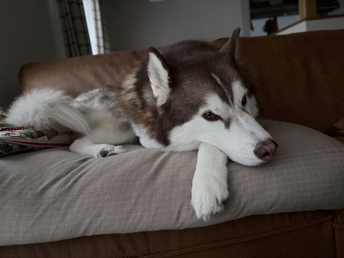 のんびり