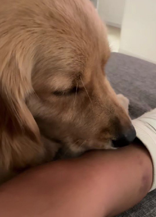 「ごめん、痛いよね…」