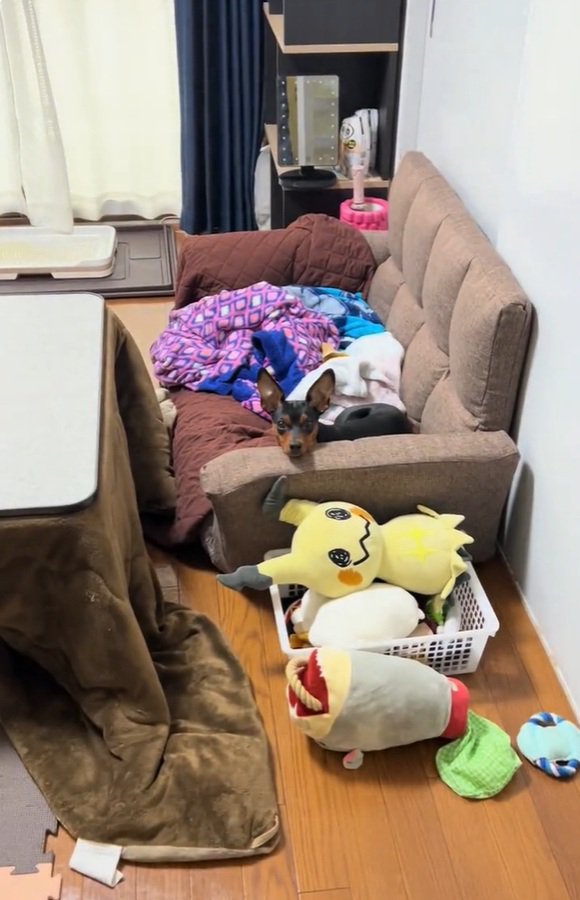 目が合うふたり