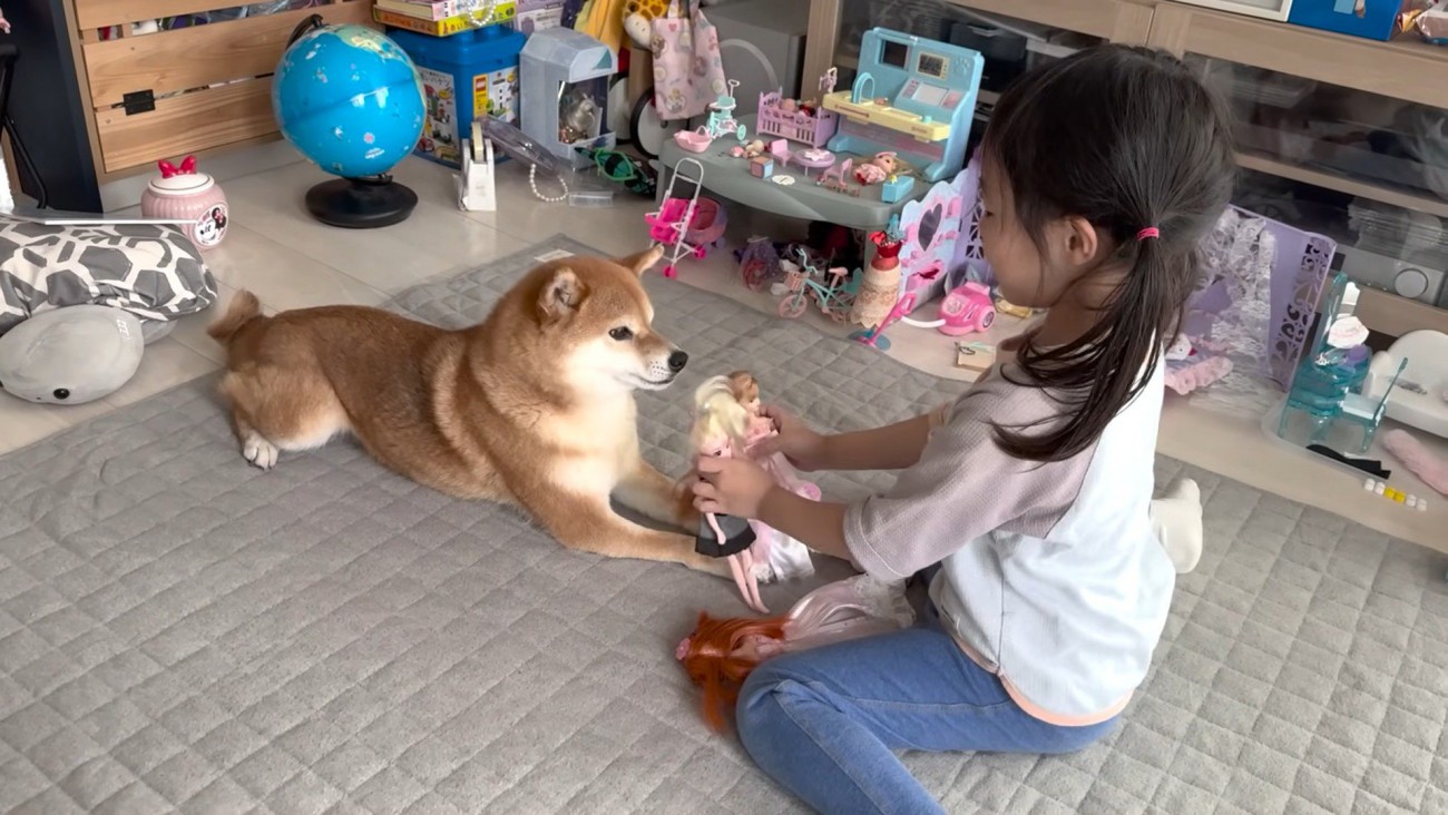 遊びに付き合ってくれて優しい！