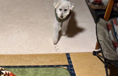 リクちゃんもドン引き！？