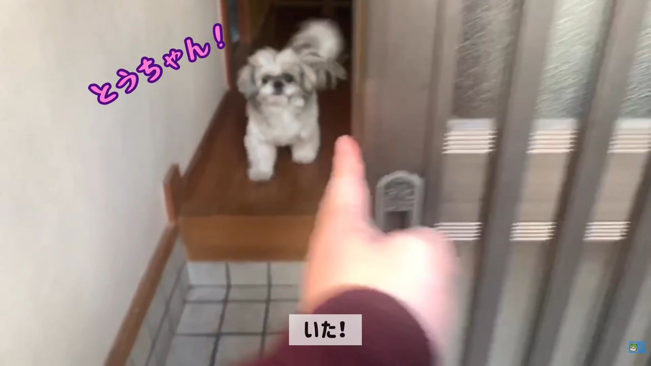 てんぽさんの熱烈歓迎