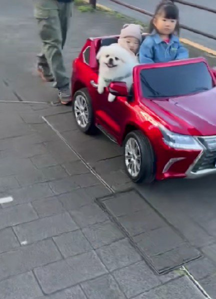 ニコニコ笑顔のわんこにキュン♡