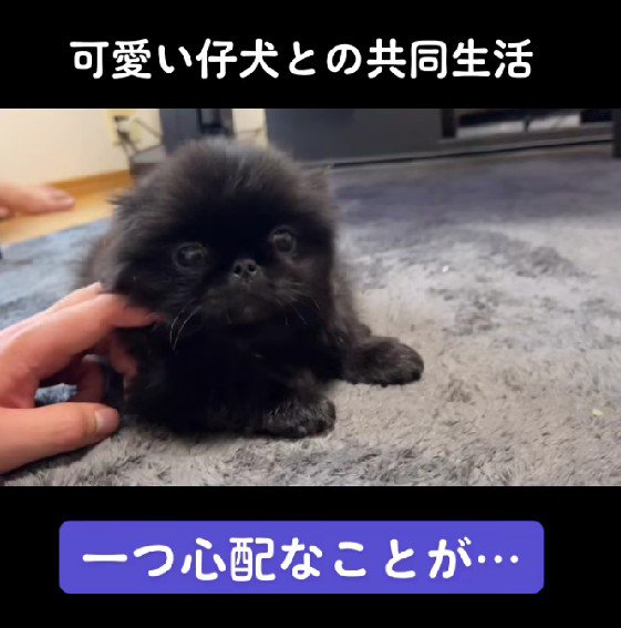 ひとつ心配なことが…