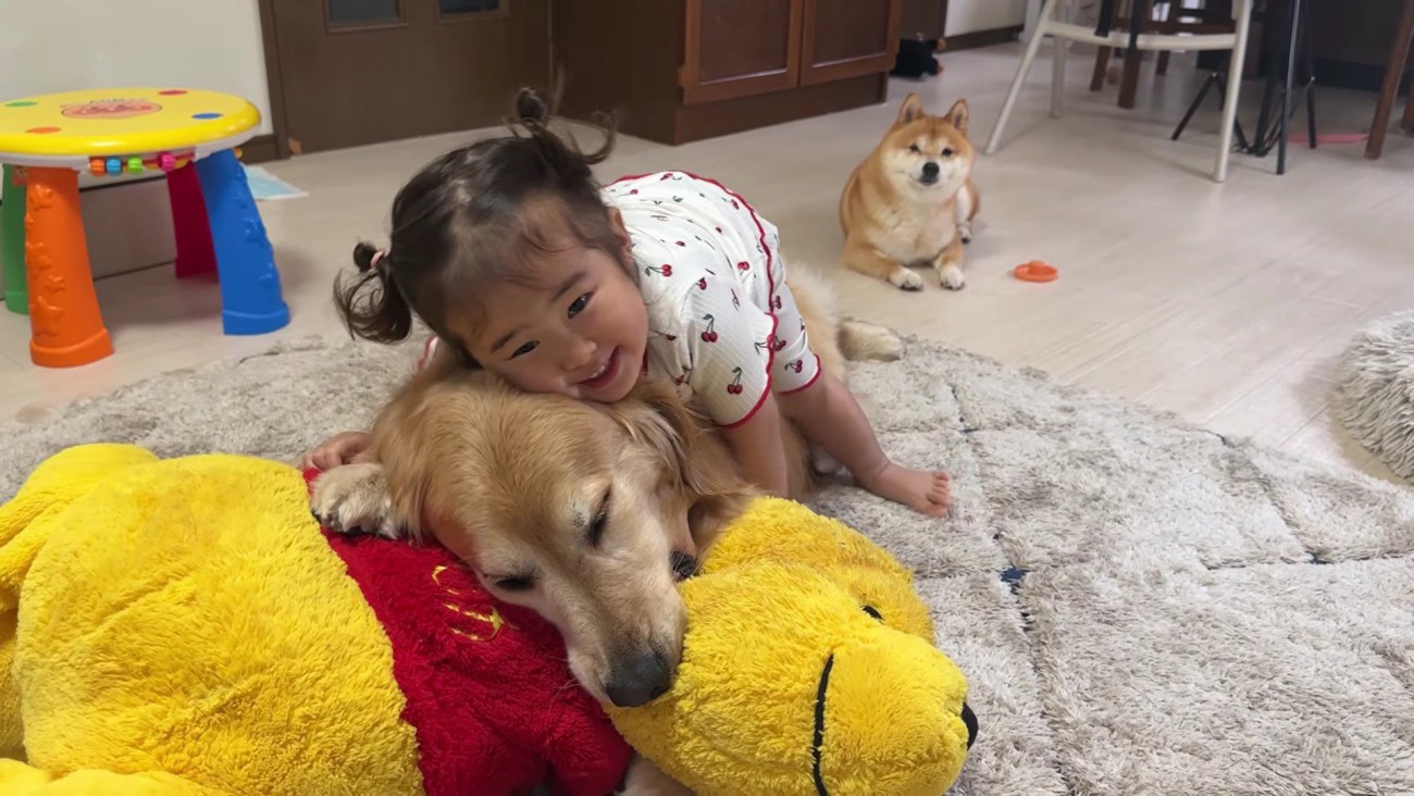 おからちゃんと遊ぶほのちゃん