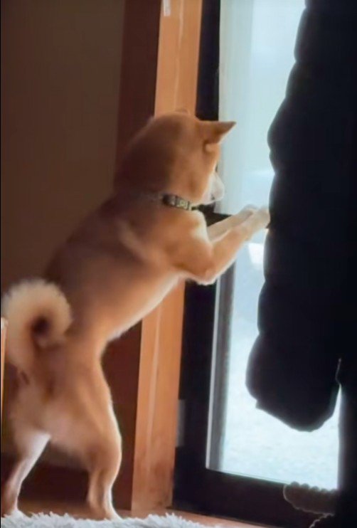 リクくんにハプニング発生3