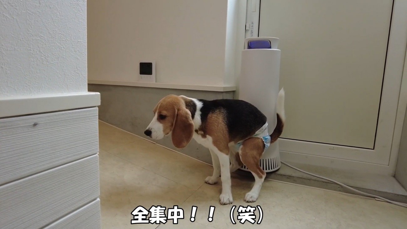 必死に踏ん張る姿が可愛い（笑）