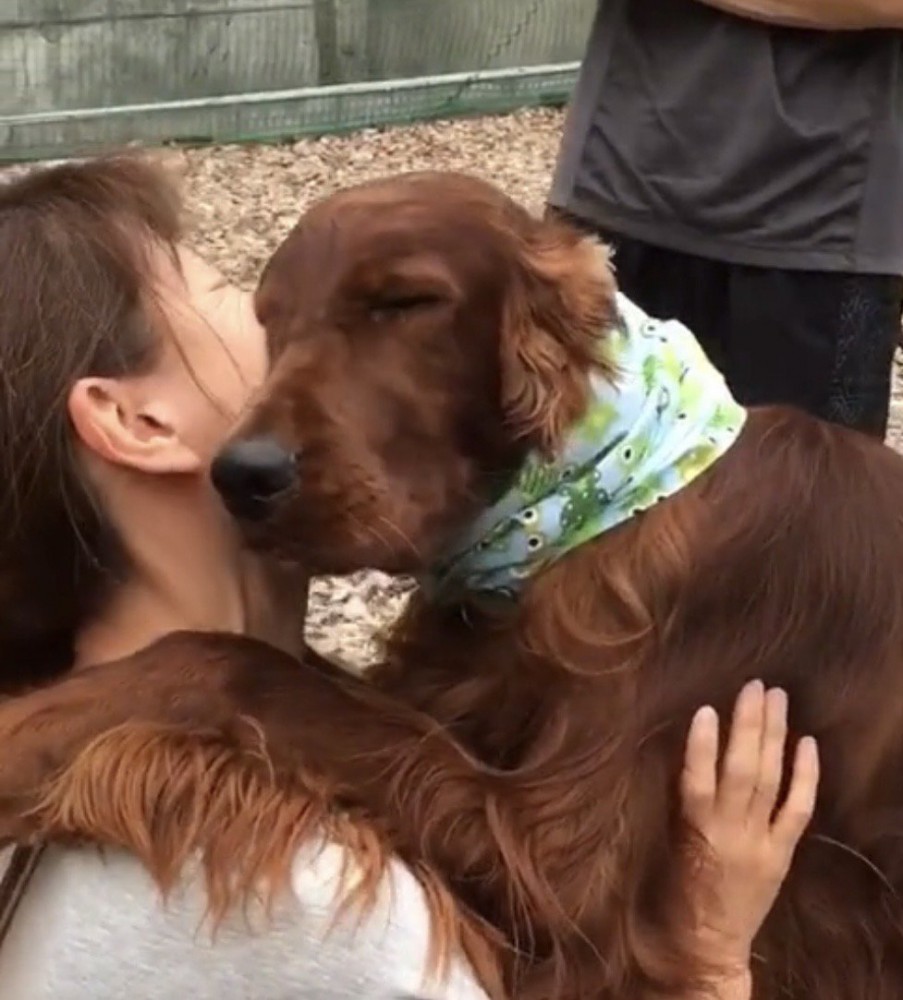 目を細める犬