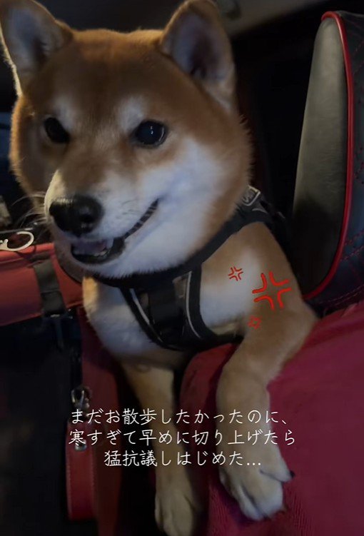 はなまる君の猛抗議7